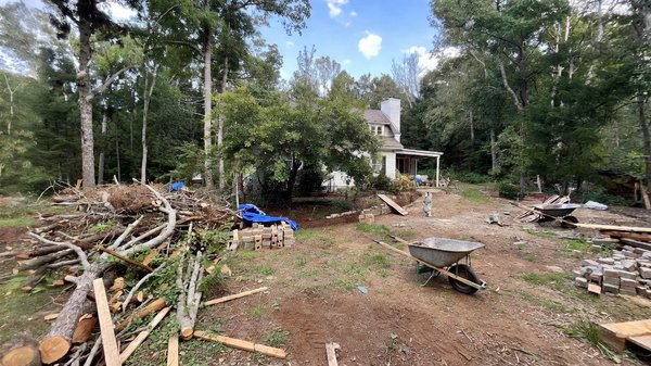 Bts aménagement paysager : tout savoir sur la formation et ses débouchés